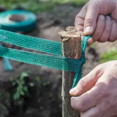 Dłonie mocują siatkę do palika, zabezpieczając młode drzewko. To kluczowy etap palikowania drzew, zapewniający im stabilność.