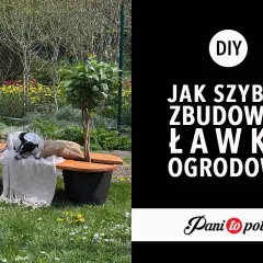 Pies śpi na ławce ogrodowej z drewna, otoczonej zielenią.