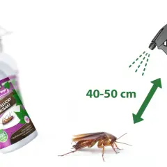 Oprysk na karaluchy i prusaki w domu. Zwalcz niechcianych lokatorów skutecznie i naturalnie.