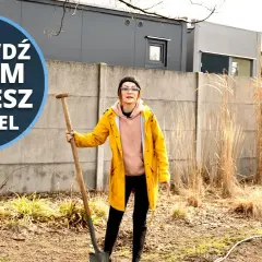 Jak zrobić warzywnik w ogrodzie i uniknąć najczęstszych błędów