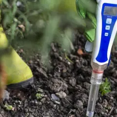 Jak sprawdzić pH ziemi ogrodowej: proste metody i ich znaczenie dla roślin