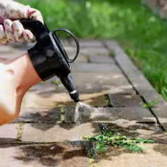 Rękawiczka w kwiatki trzyma opryskiwacz, który rozpyla płyn na chwasty w kostce brukowej.