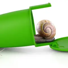 Zielona pułapka na ślimaki z dwoma ślimakami. Jeden ślimak wychodzi z pułapki, drugi czeka na zewnątrz.