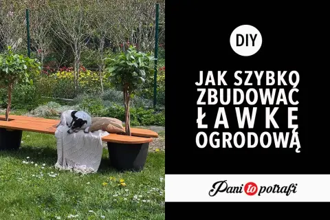 Pies śpi na ławce ogrodowej z drewna, otoczonej zielenią.