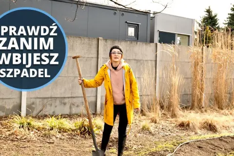 Jak zrobić warzywnik w ogrodzie i uniknąć najczęstszych błędów