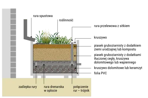 Przekrój przez ogród deszczowy pokazujący warstwy: roślinność, substrat, drenaż z rurą i odpływ.
