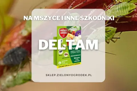 DELTAM na mszyce i inne szkodniki. Opakowanie środka ochrony roślin Protect Garden.