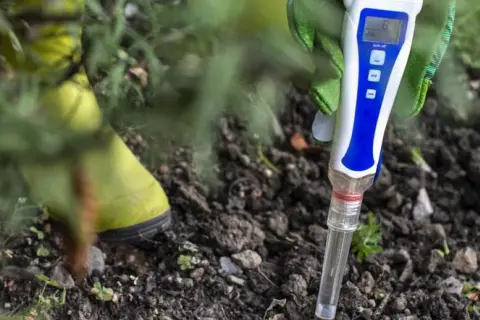 Jak sprawdzić pH ziemi ogrodowej: proste metody i ich znaczenie dla roślin