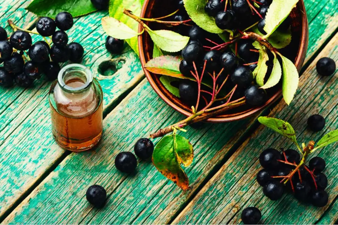 Aronia w misce i buteleczce z nalewką. Pomysły, co zrobić z aronii, by cieszyć się jej zdrowiem.