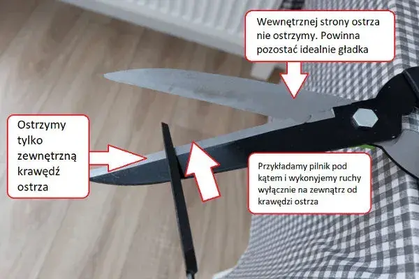 Jak naostrzyć nożyce ogrodowe, aby uzyskać idealne cięcie i długowieczność