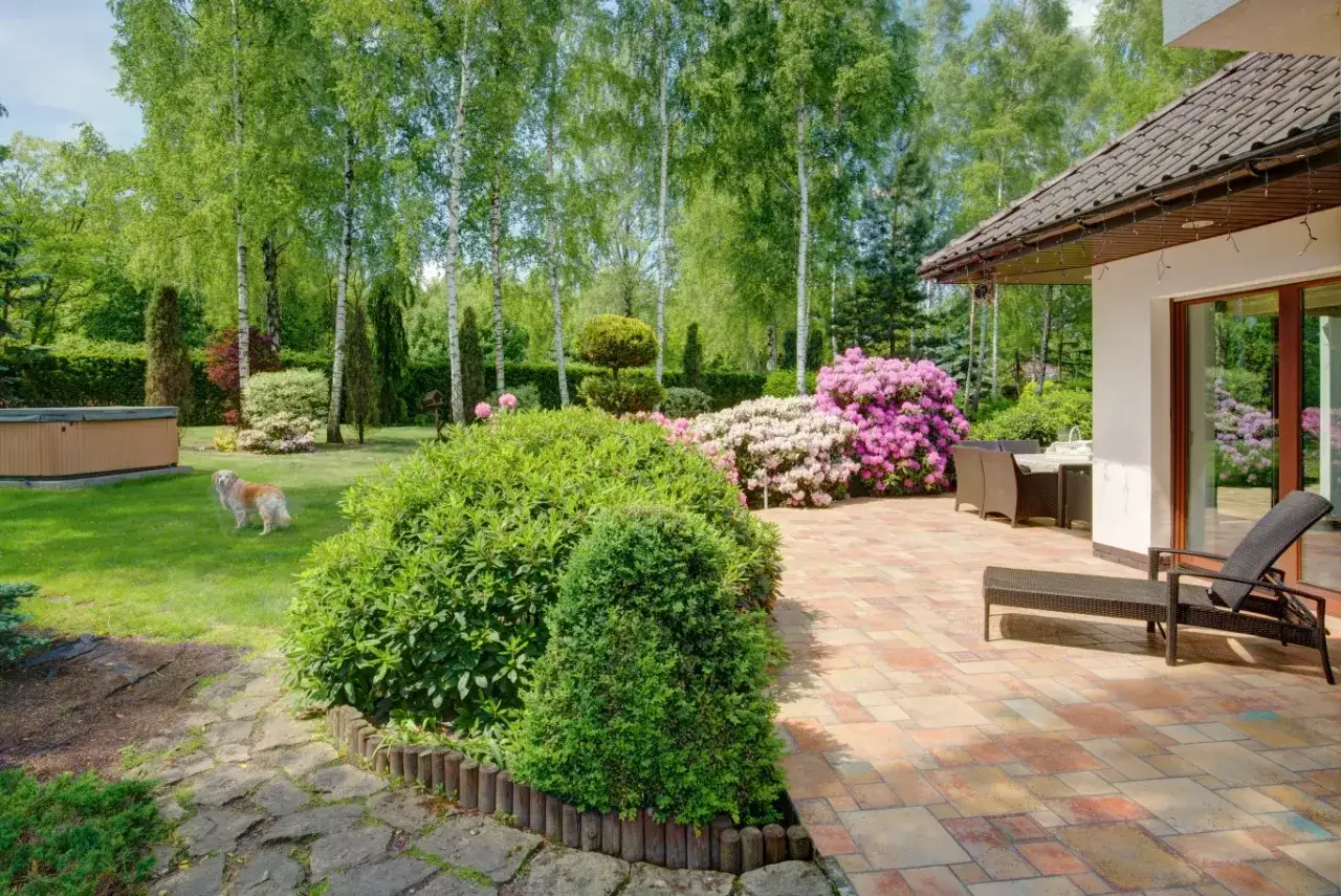 Zielony żywopłot z daglezji otacza zadbany ogród z psem, jacuzzi i kwitnącymi rododendronami.