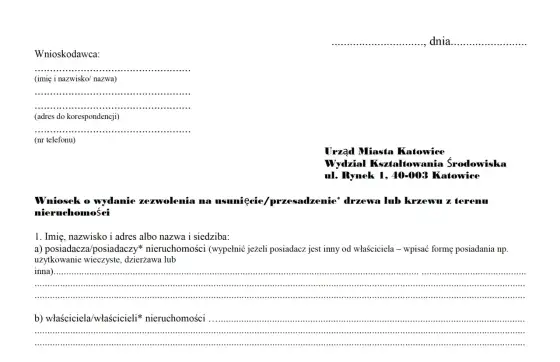 Wycinka drzewa - Kiedy zgłoszenie, a kiedy zezwolenie?