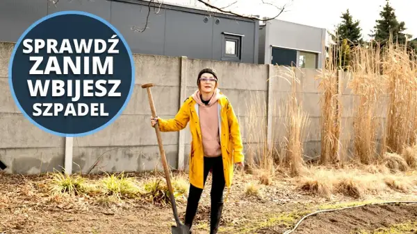 Jak zrobić warzywnik w ogrodzie i uniknąć najczęstszych błędów