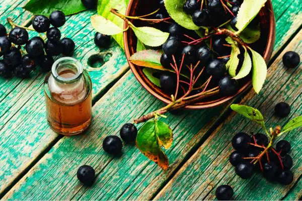 Aronia w misce i buteleczce z nalewką. Pomysły, co zrobić z aronii, by cieszyć się jej zdrowiem.